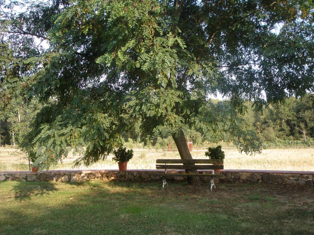 Mas Vilalonga Petit Cassà de la Selva Extérieur photo